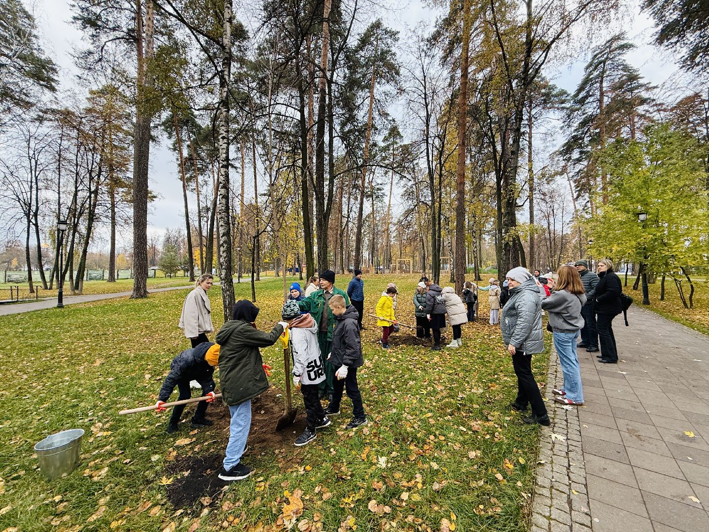 раменское, высадка деревьев, раменский городской парк, раменская гимназия 2, экологическая акция, патриотическая акция,