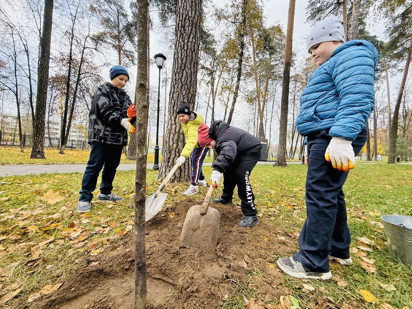 раменское, высадка деревьев, раменский городской парк, раменская гимназия 2, экологическая акция, патриотическая акция,