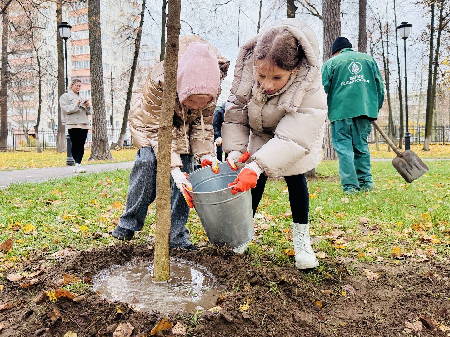 раменское, высадка деревьев, раменский городской парк, раменская гимназия 2, экологическая акция, патриотическая акция,