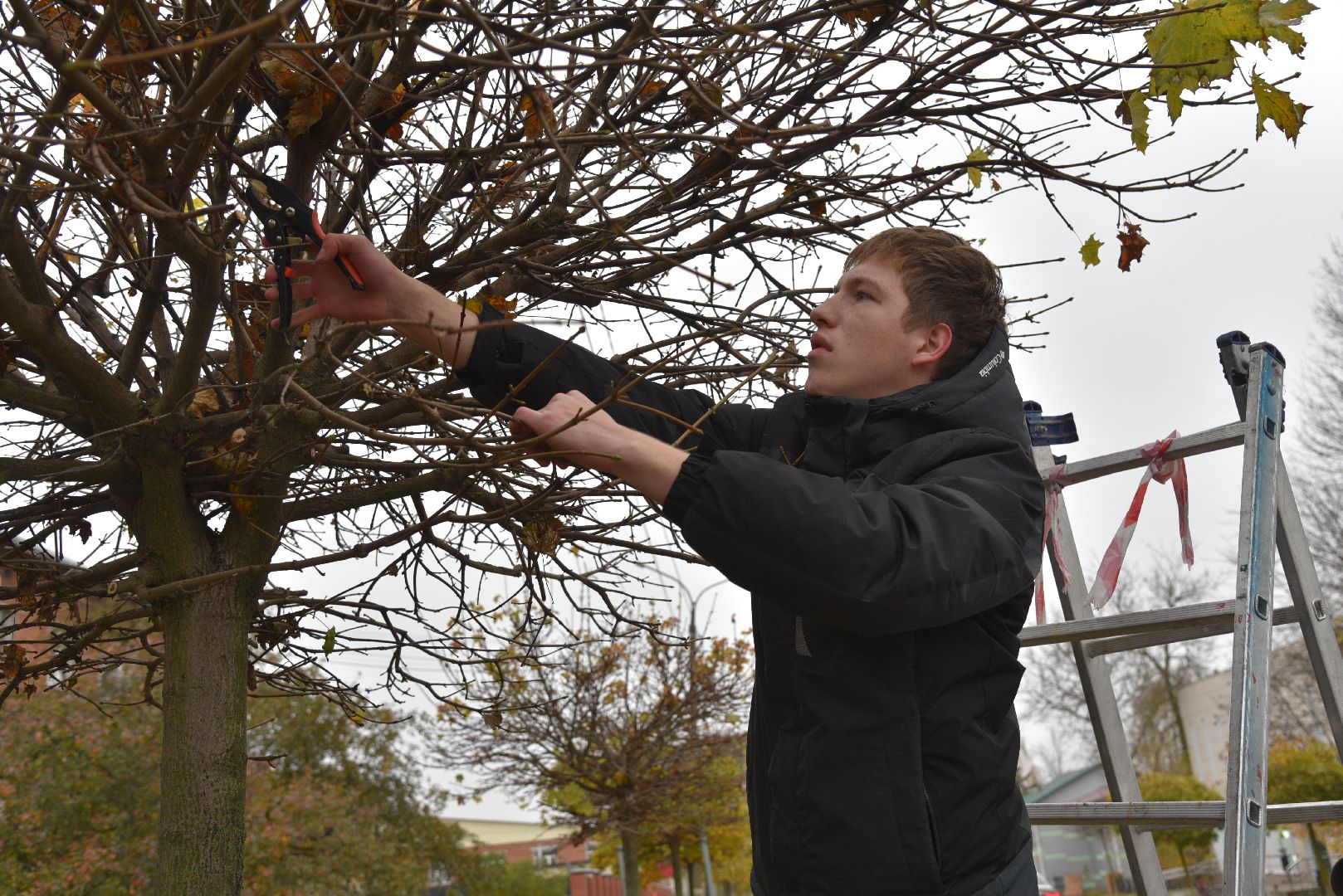 лотошино, благоустройство, обращения жителей, добродел,