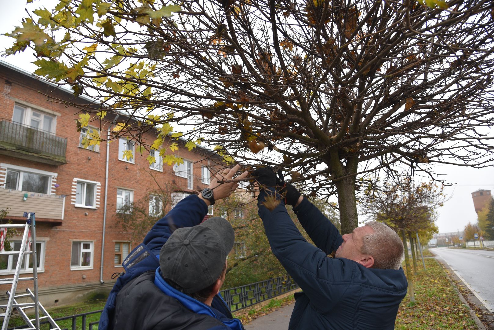 лотошино, благоустройство, обращения жителей, добродел,