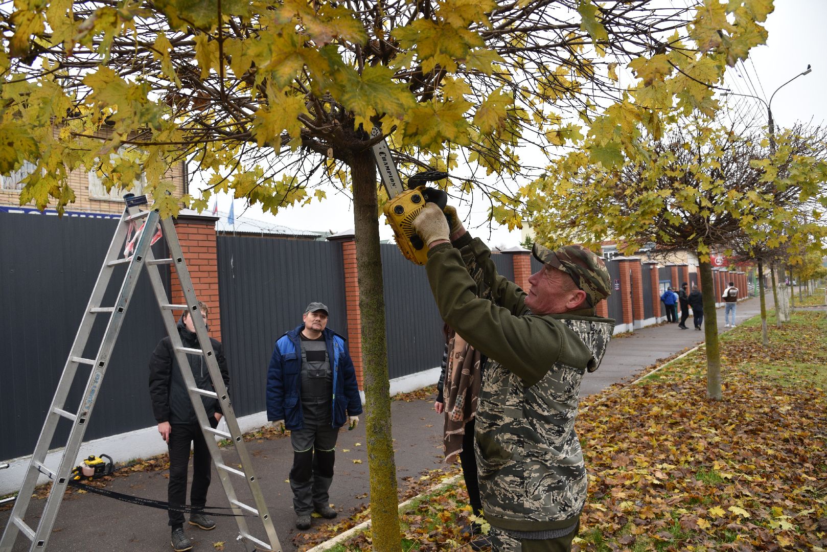лотошино, благоустройство, обращения жителей, добродел,
