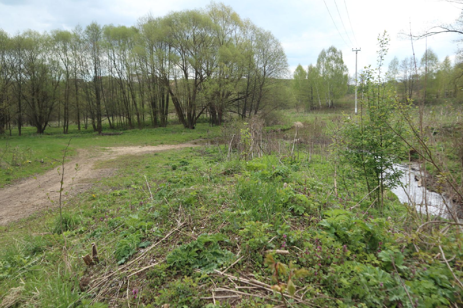 Пущино, благоустройство, борьба с борщевиком