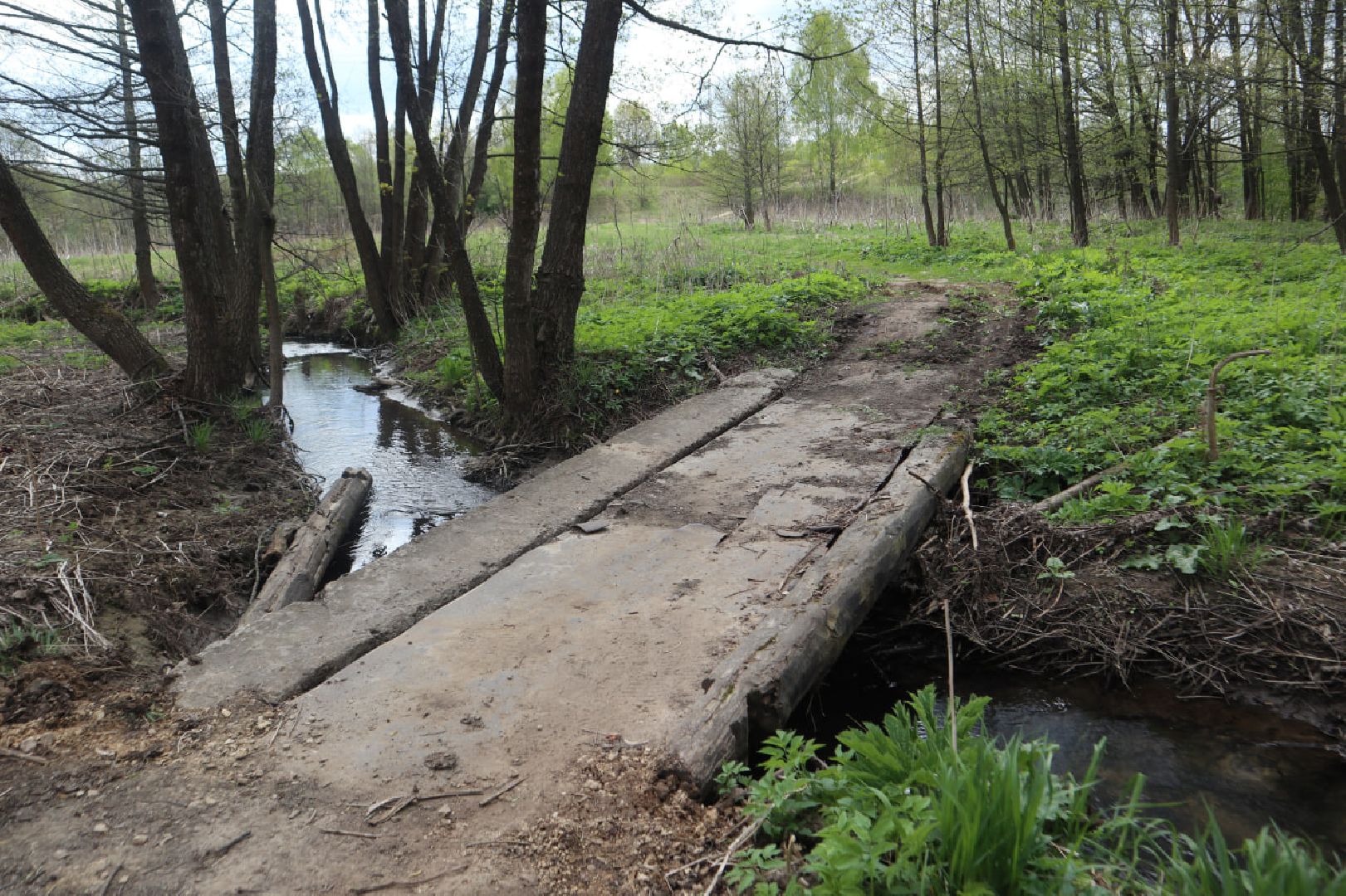 Пущино, благоустройство, борьба с борщевиком