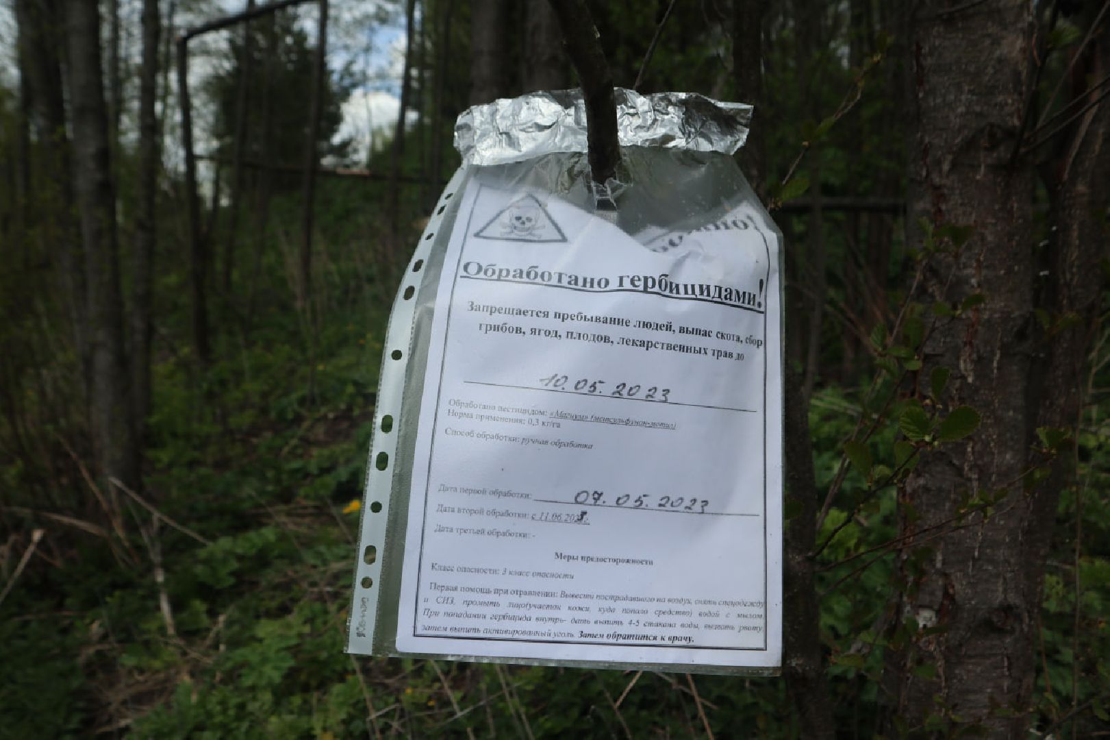 Пущино, благоустройство, борьба с борщевиком