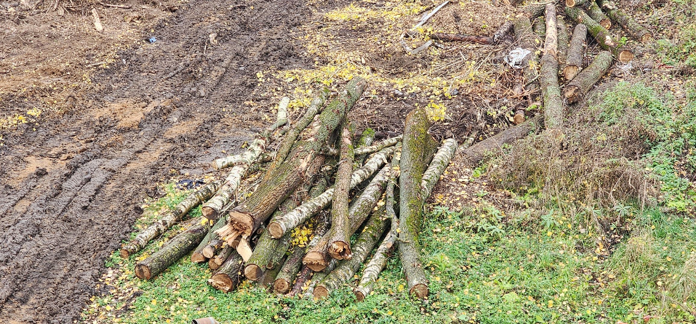 Химки, МЦД, жд, транспорт, строительство,