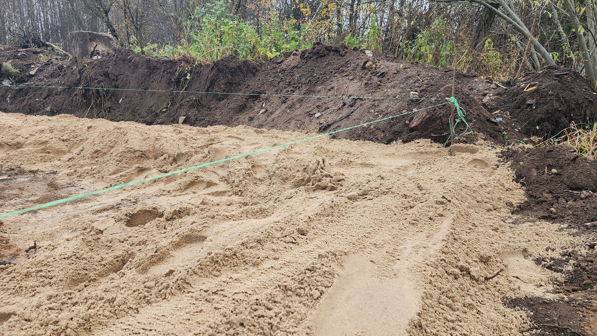 клин, лесопарк, талицкий лес, благоустройство,