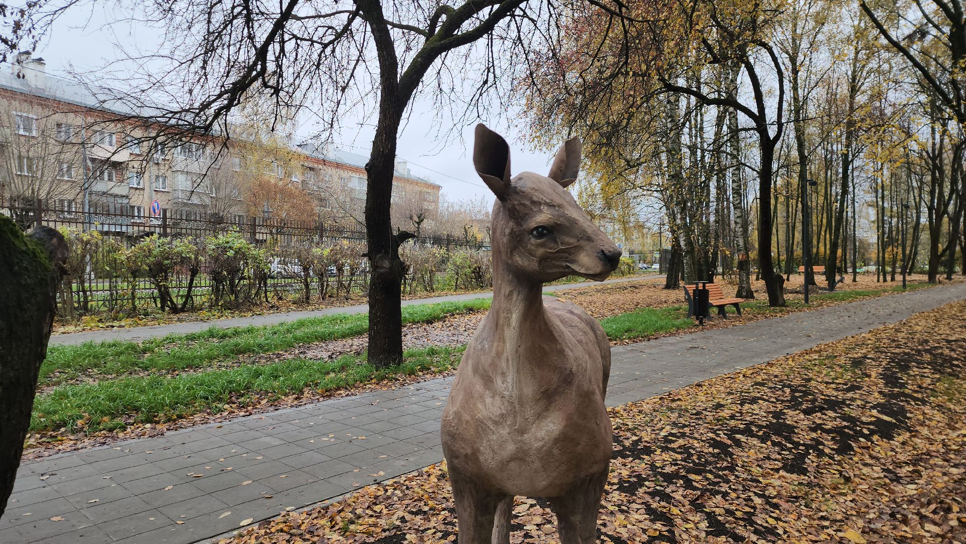 серпухов, подмосковье, парк питомник,