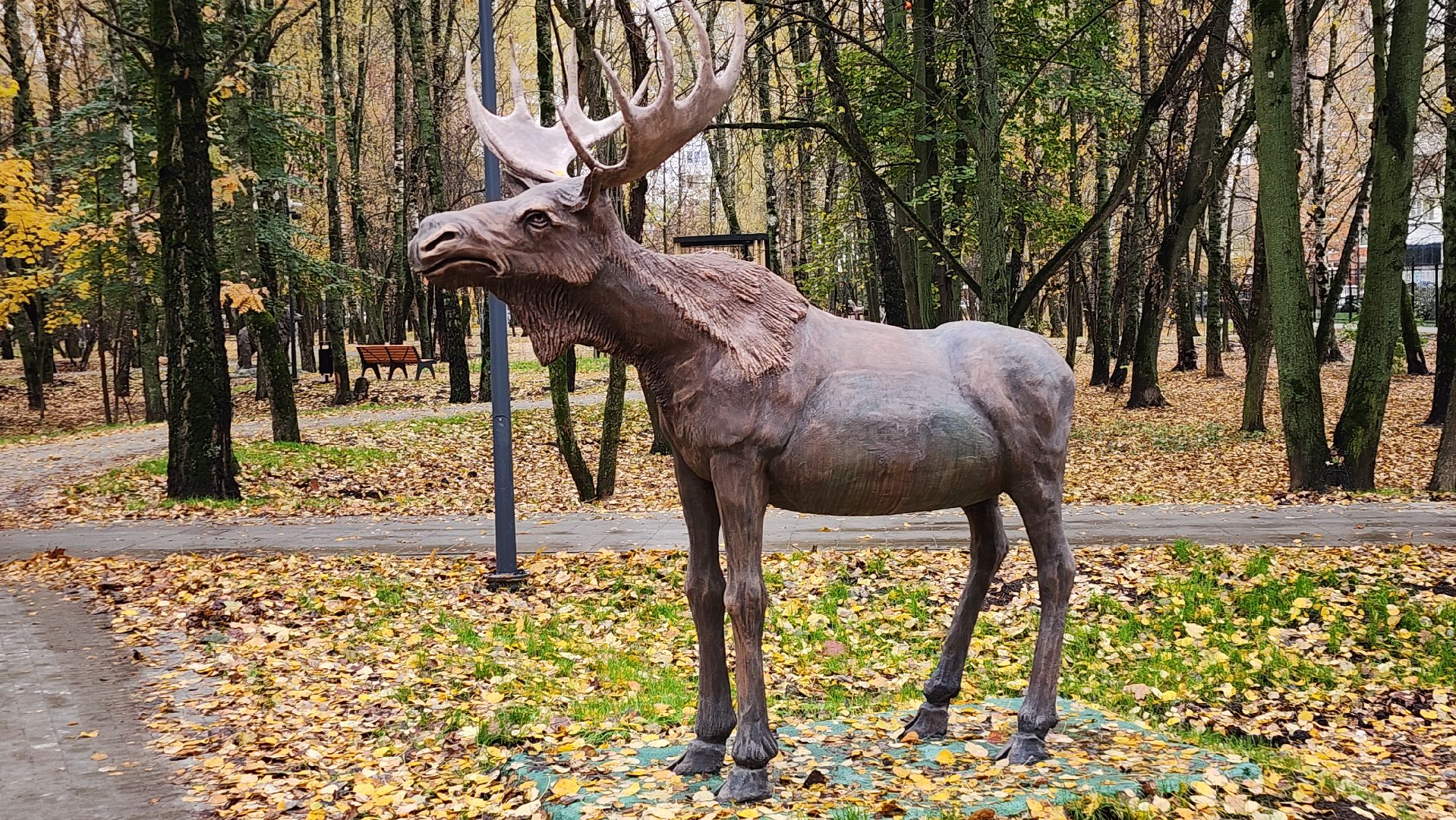 серпухов, подмосковье, парк питомник,