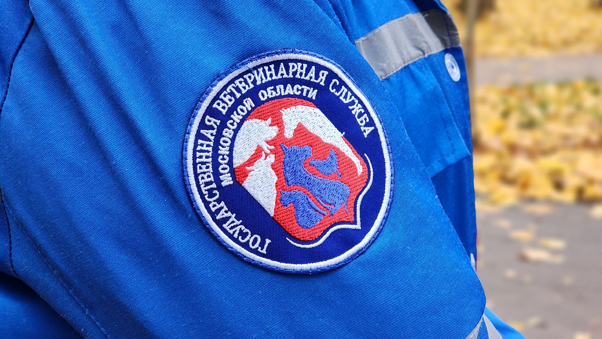 ветеринарная служба, вакцинация животных, лосино-петровский,