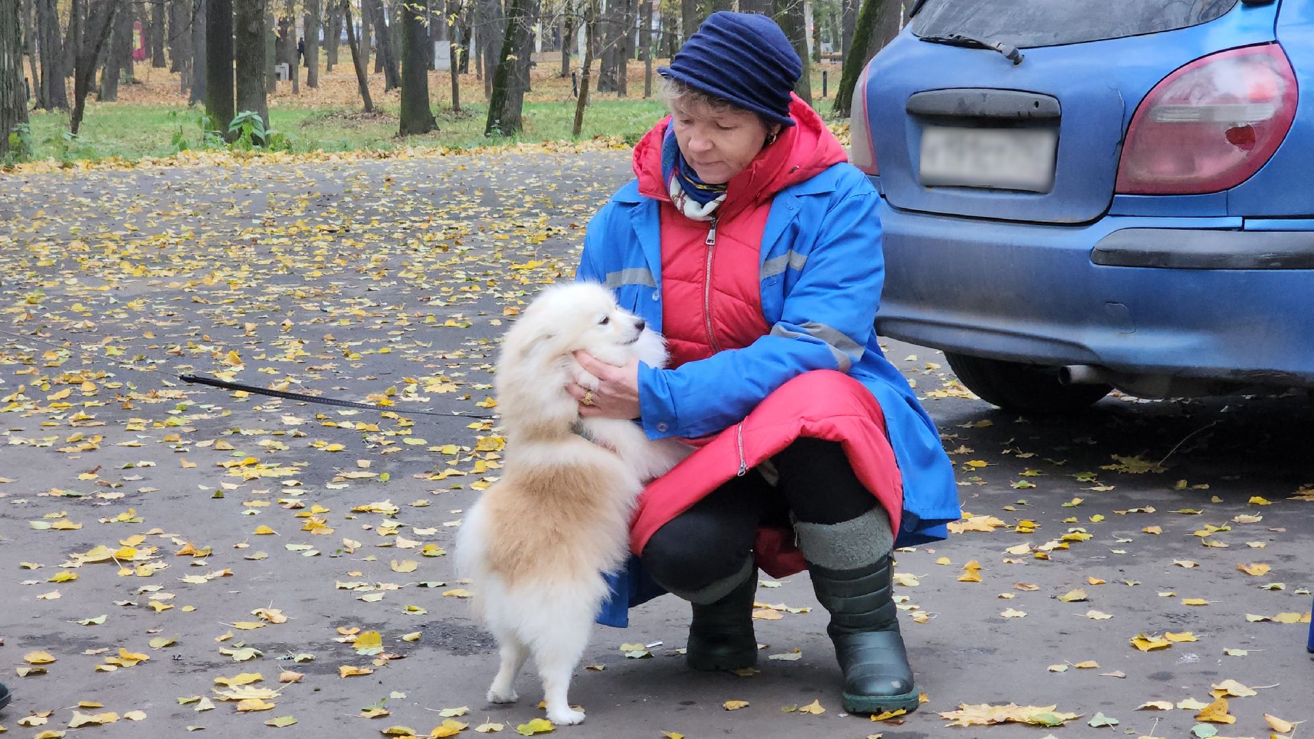 ветеринарная служба, вакцинация животных, лосино-петровский,