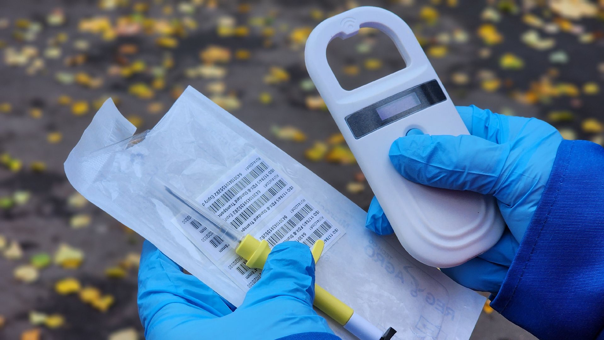 ветеринарная служба, вакцинация животных, лосино-петровский,