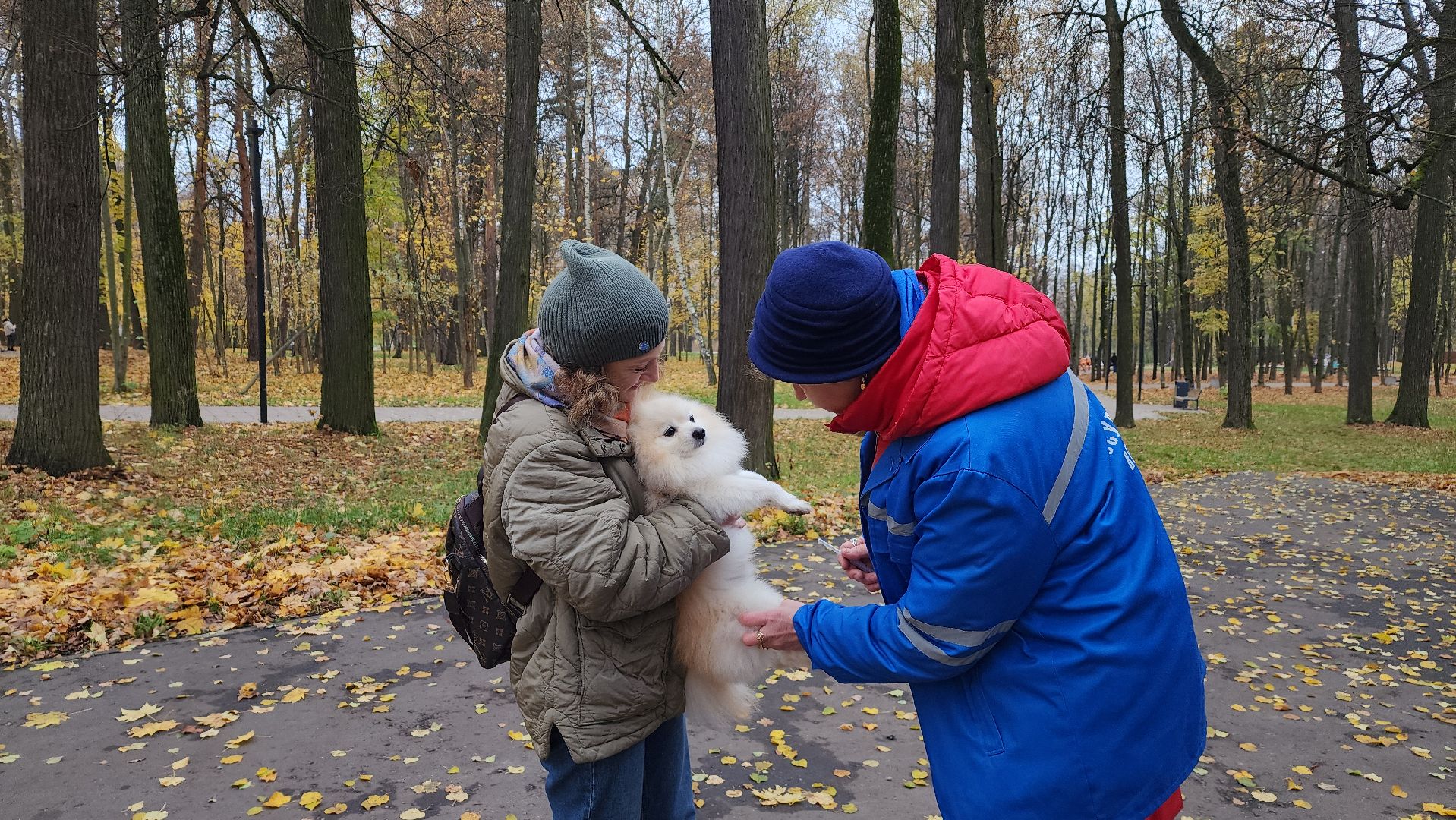 ветеринарная служба, вакцинация животных, лосино-петровский,