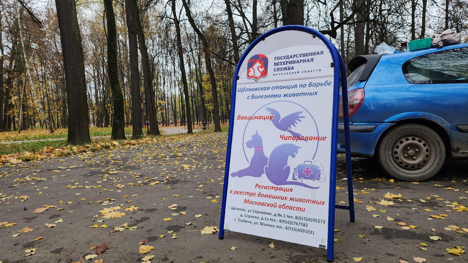 ветеринарная служба, вакцинация животных, лосино-петровский,