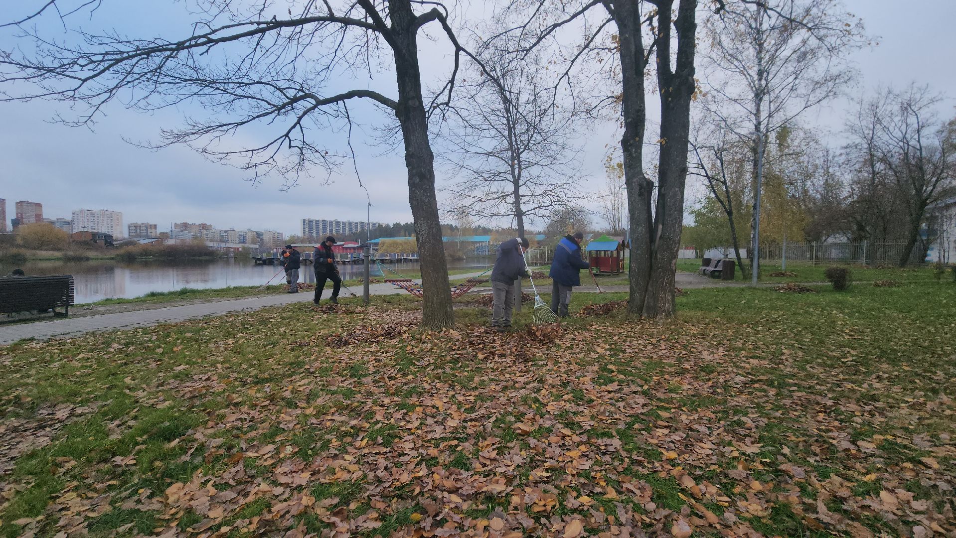 Осень, уборка листьев, уборка листвы, Лобня,