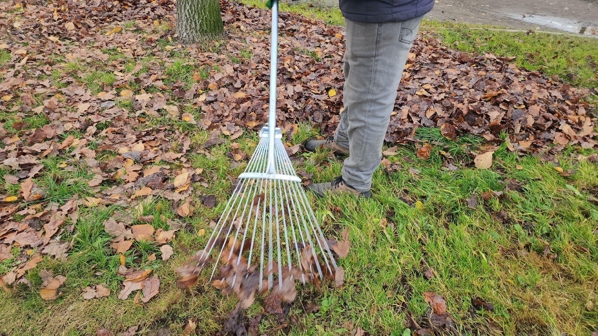 Осень, уборка листьев, уборка листвы, Лобня,