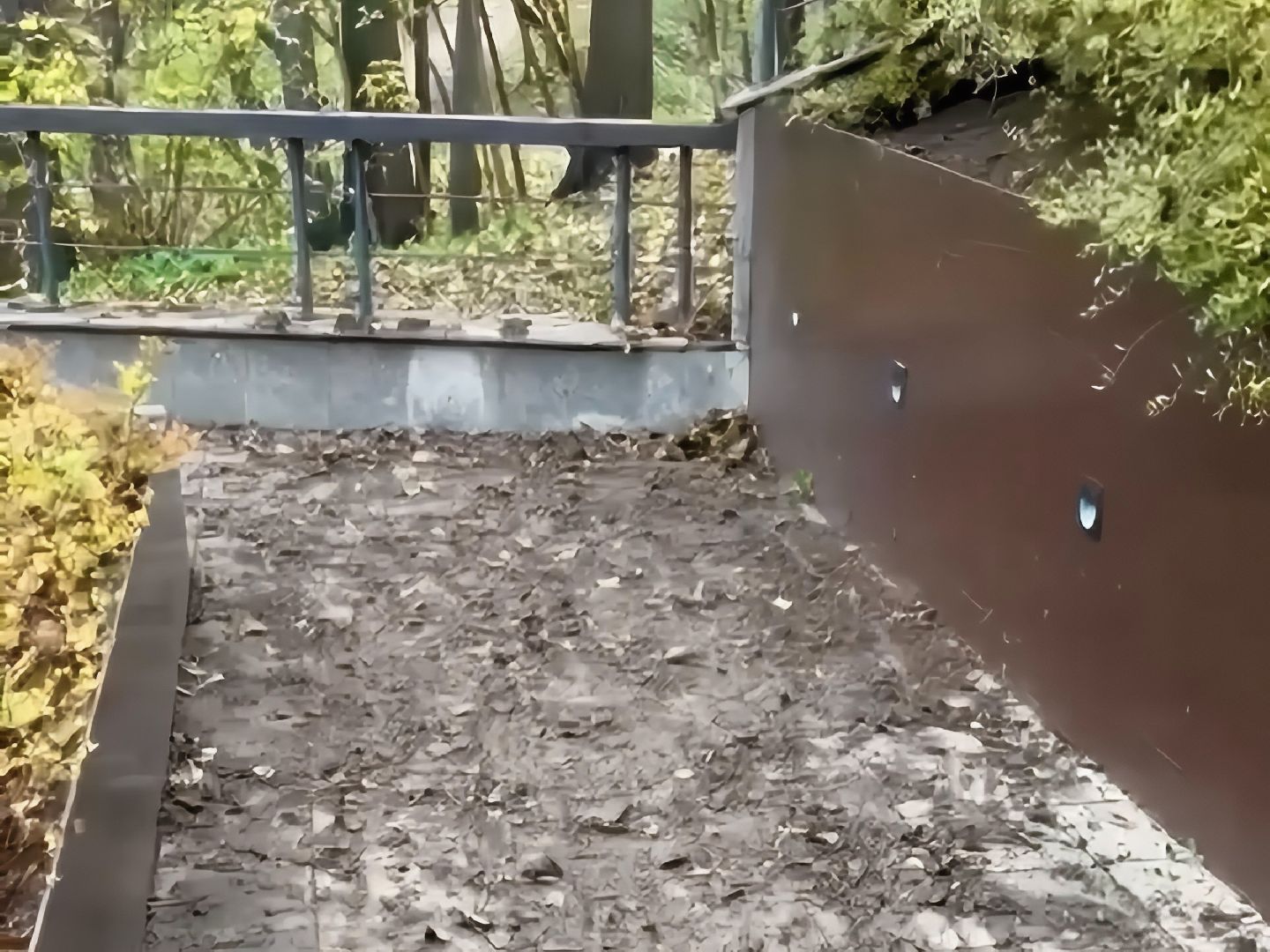 раменское, раменский городской парк, вандализм, благоустройство, ремонт, клумбы,