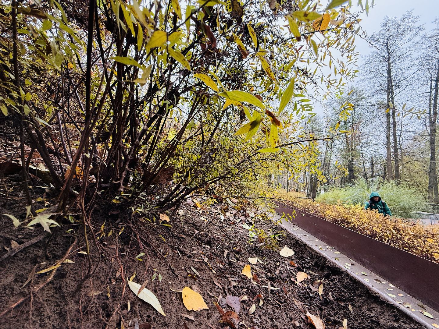 раменское, раменский городской парк, вандализм, благоустройство, ремонт, клумбы,