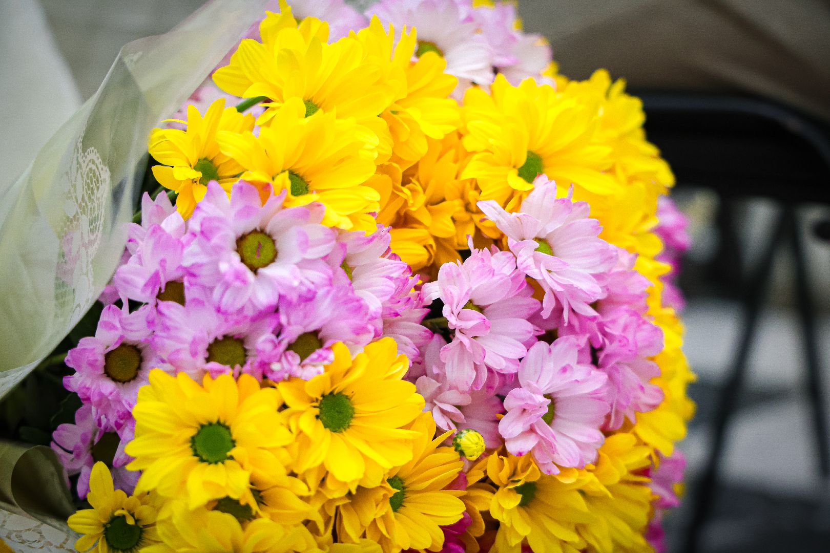 клин, общество, общество слепых, люди, помощь,