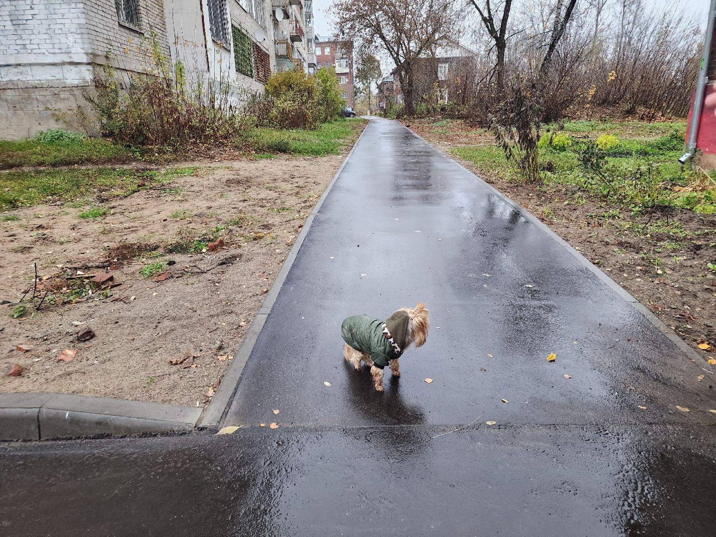 благоустройство дворов, орехово-зуево,