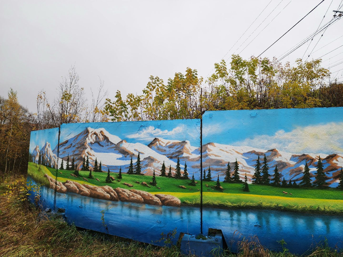 солнечногорск, живопись, благоустройство , жители ,