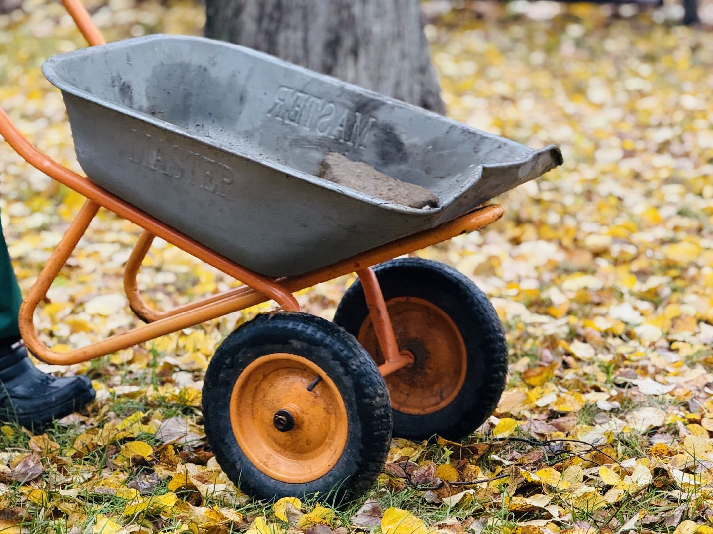 раменское, раменская црб, главврач, врачи, экологическая акция, патриотическая акция,высадка деревьев,раменский городской парк,