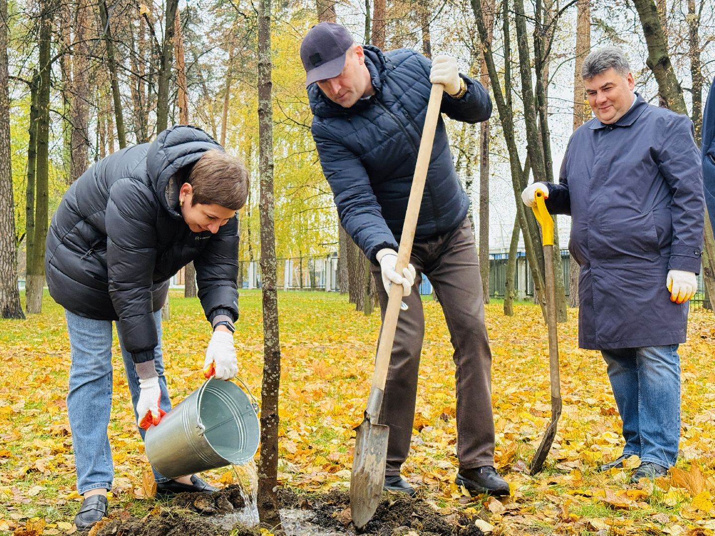 раменское, раменская црб, главврач, врачи, экологическая акция, патриотическая акция,высадка деревьев,раменский городской парк,