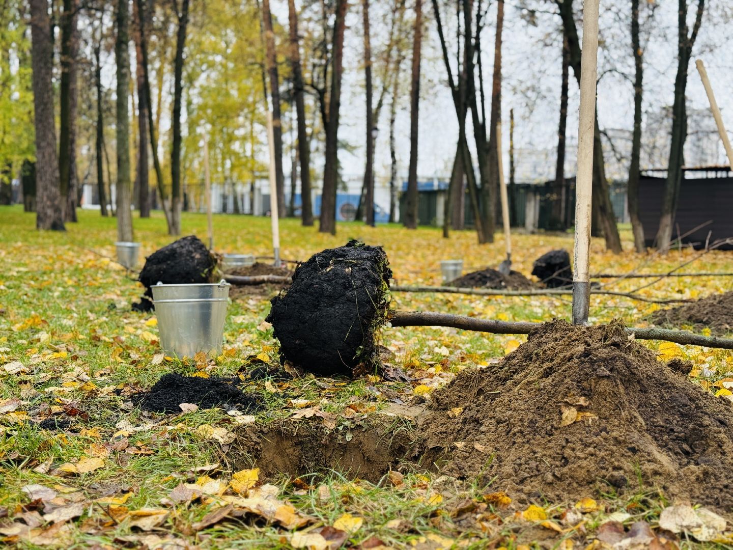 раменское, раменская црб, главврач, врачи, экологическая акция, патриотическая акция,высадка деревьев,раменский городской парк,