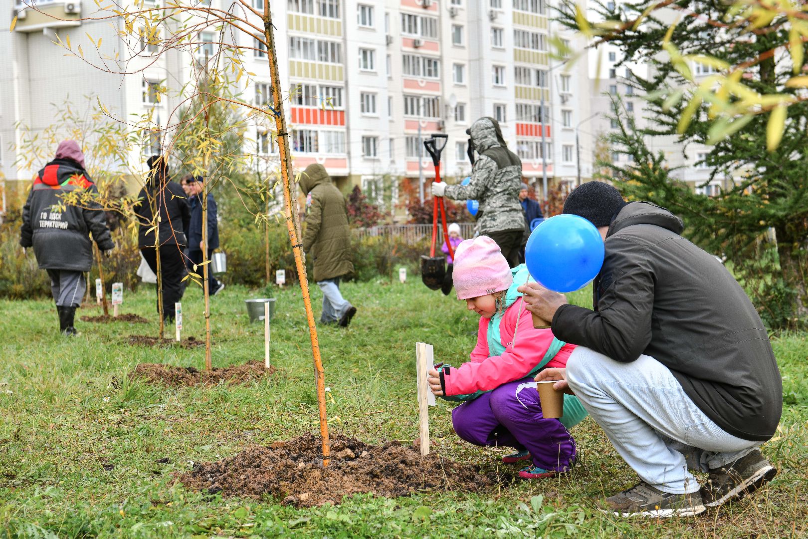 отцы, дети, эко, акция, деревья,