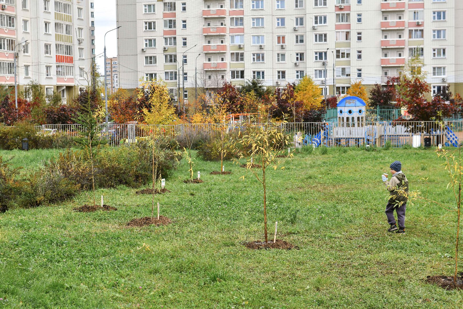 отцы, дети, эко, акция, деревья,