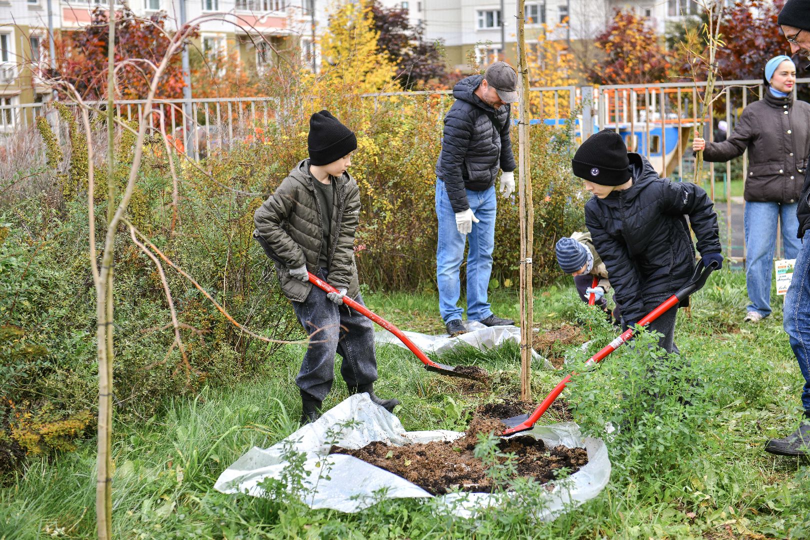 отцы, дети, эко, акция, деревья,