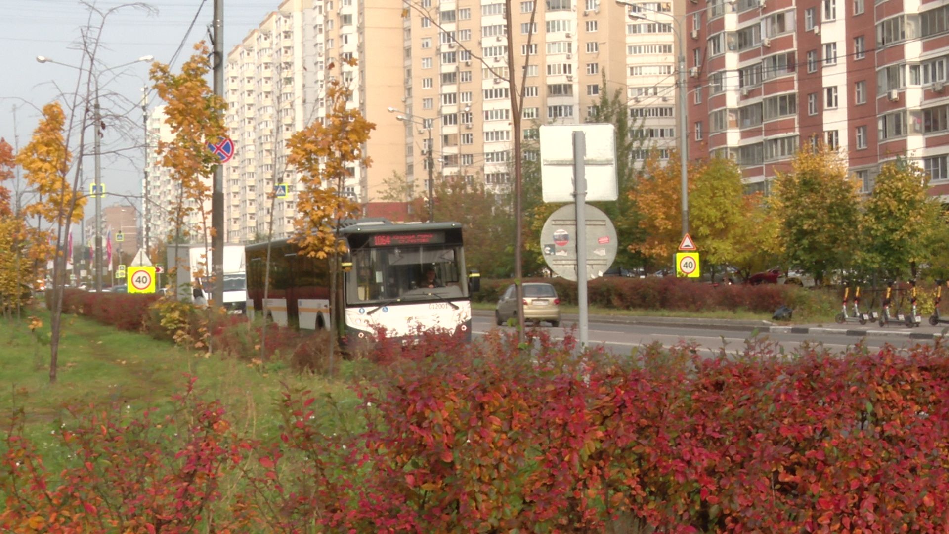 Реутов, ветеран СВО, трудоустройство, водитель автобуса,