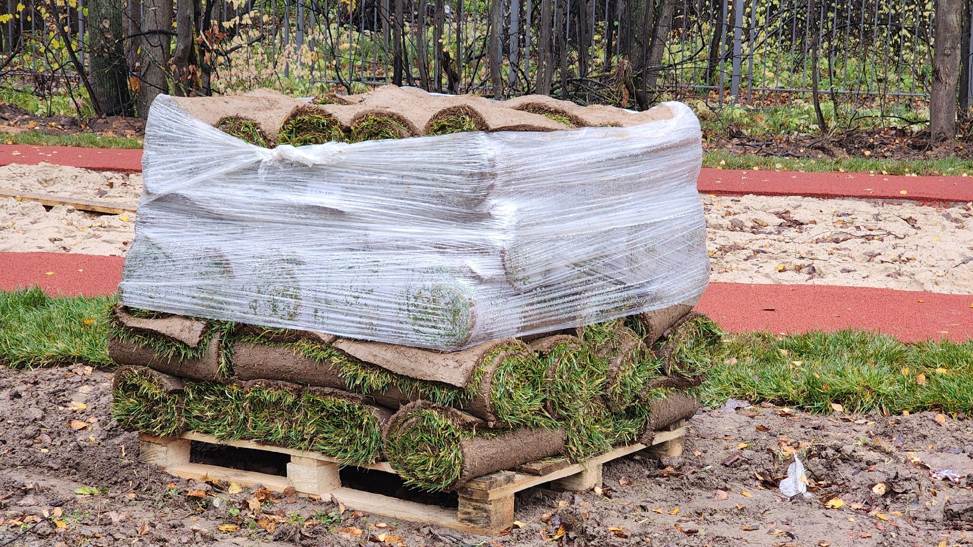 протвино, открытый стадион, спорт, гимназия протвино,