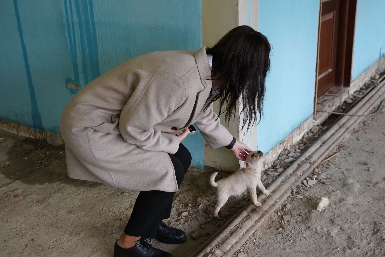 малино, школа, ремонт,