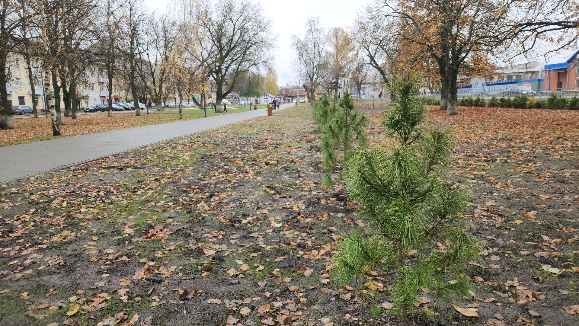 благоустройство 2025, ликино-дулево, орехово-зуевский округ,