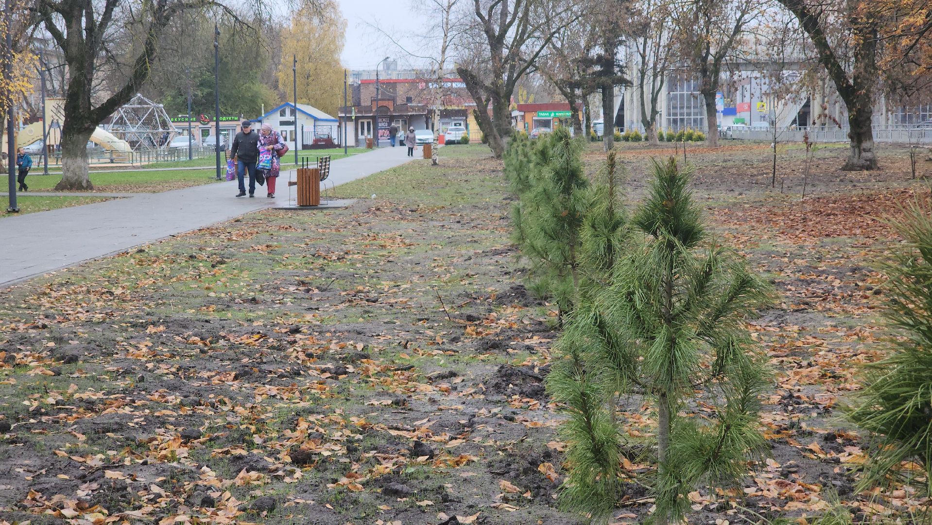 благоустройство 2025, ликино-дулево, орехово-зуевский округ,