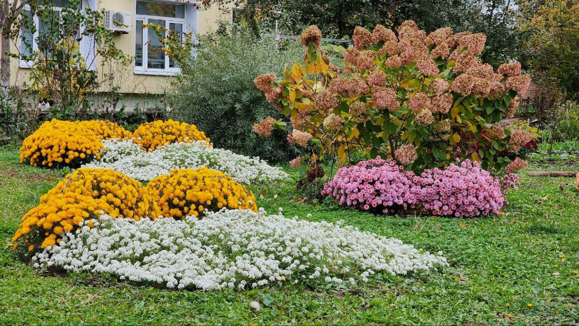 луховицы, црб,