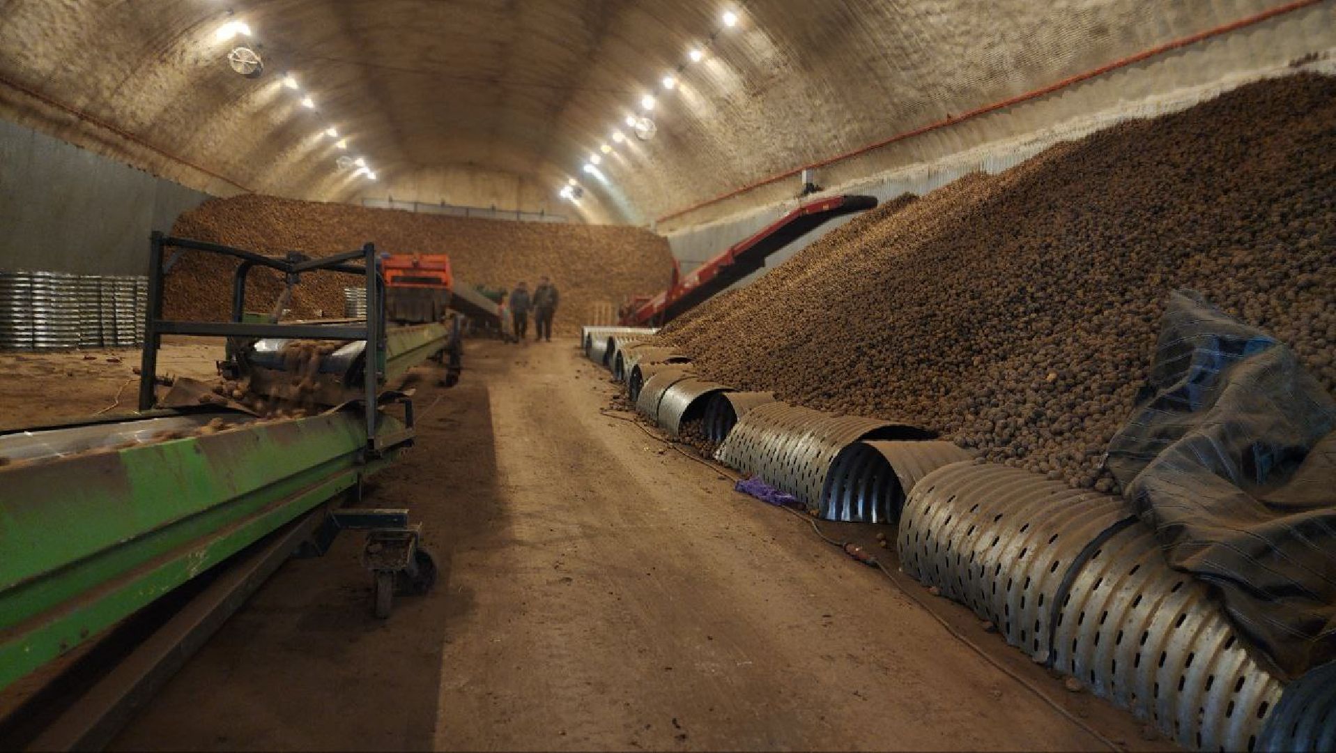 Луховицы #СПКимениЛенина #Урожай2025 #Агропром #Подмосковье #Картофель #Зерновые,