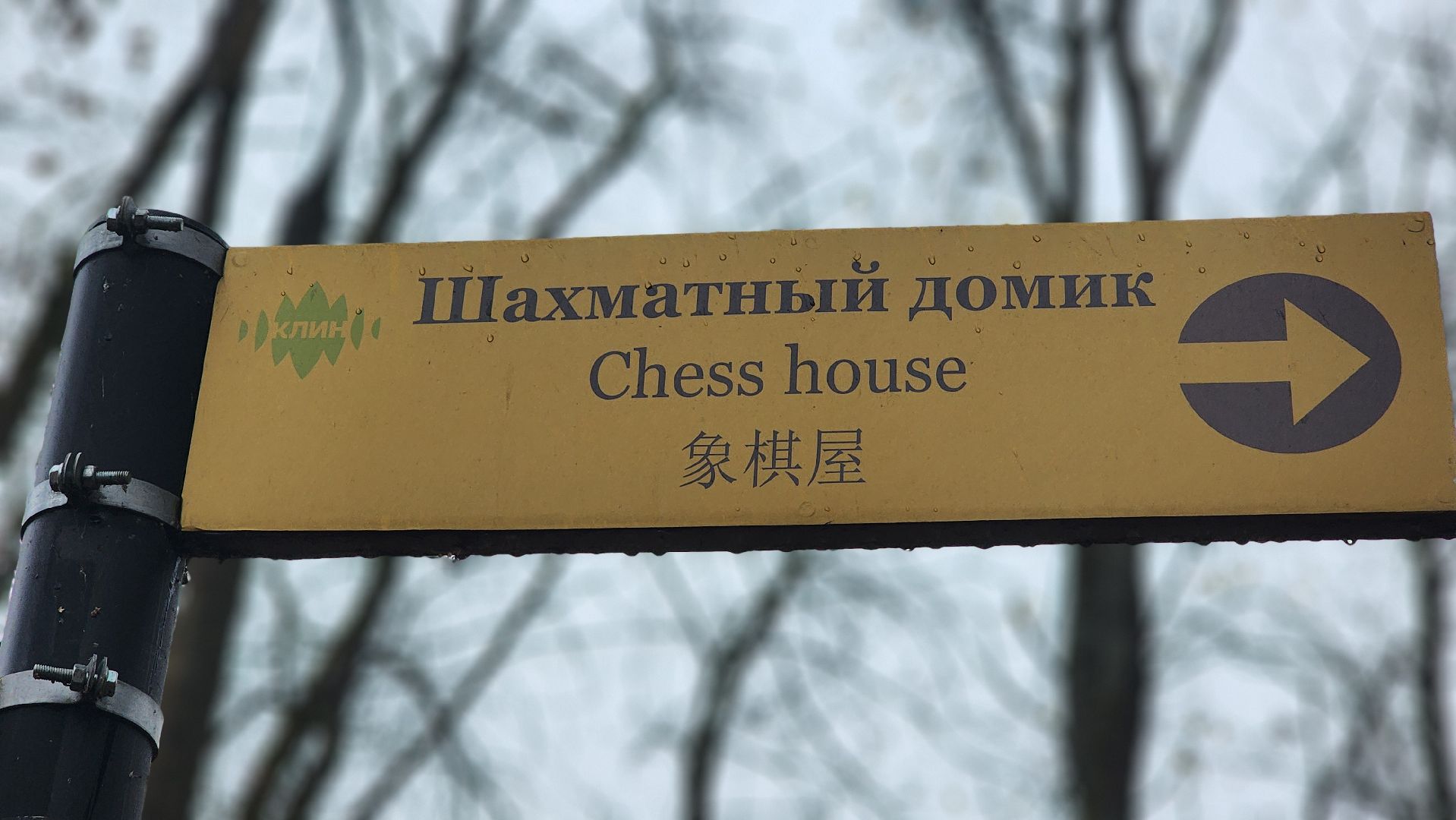 клин, высоковск, березовый парк , асфальт, благоустройство,