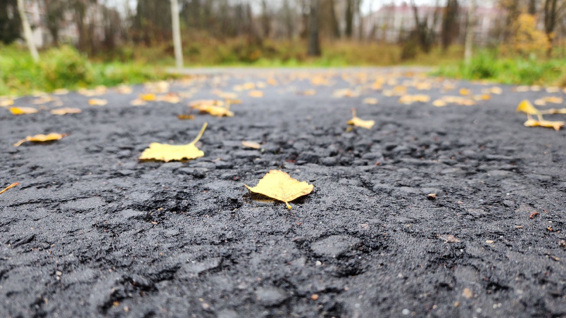 клин, высоковск, березовый парк , асфальт, благоустройство,