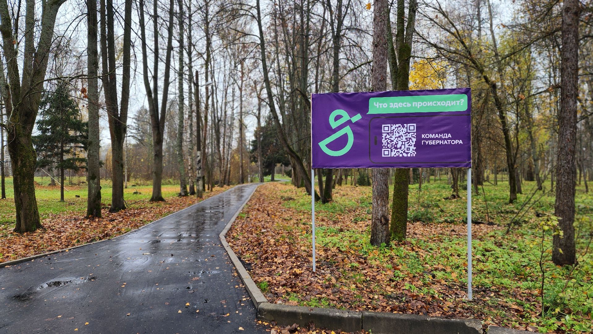 клин, высоковск, березовый парк , асфальт, благоустройство,