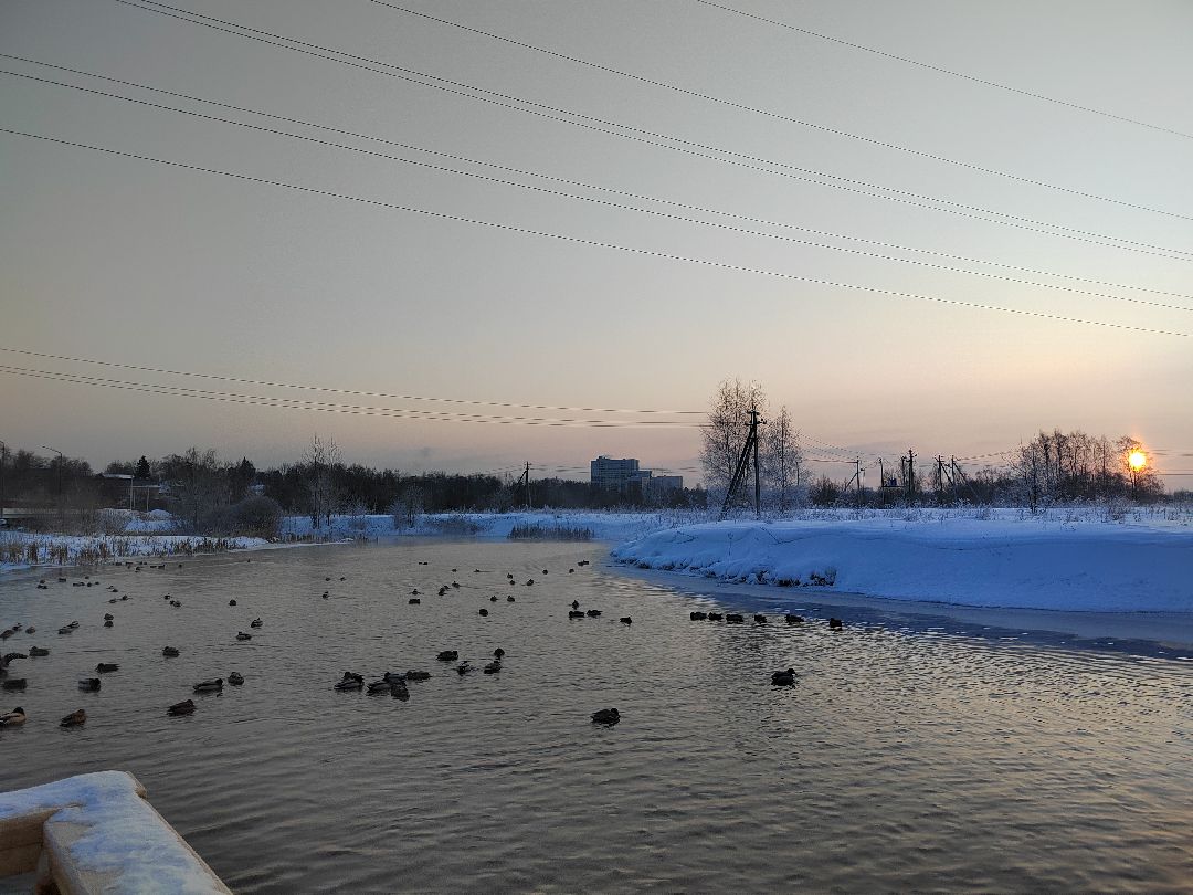 спорт, плавание, Пушкино, Пушкинский, Зима в Подмосковье, зимнее плавание,