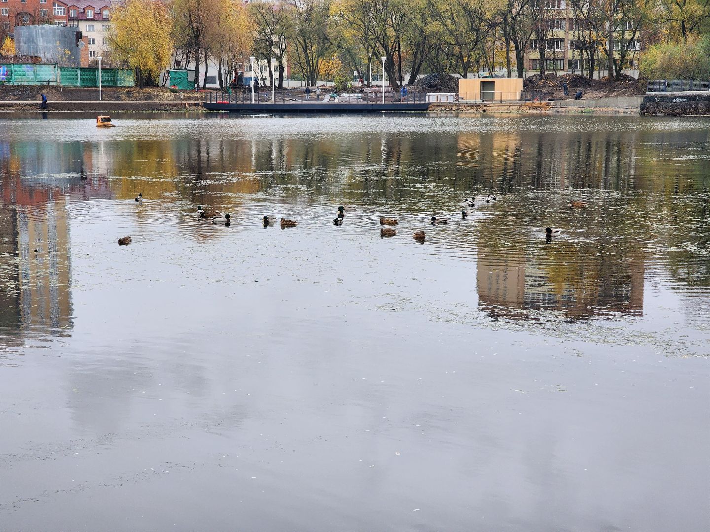 пушкино, травинское озеро, травинская набережная, пушкинский городской округ, комфортная среда, команда губернатора, парк,место , место отдыха,