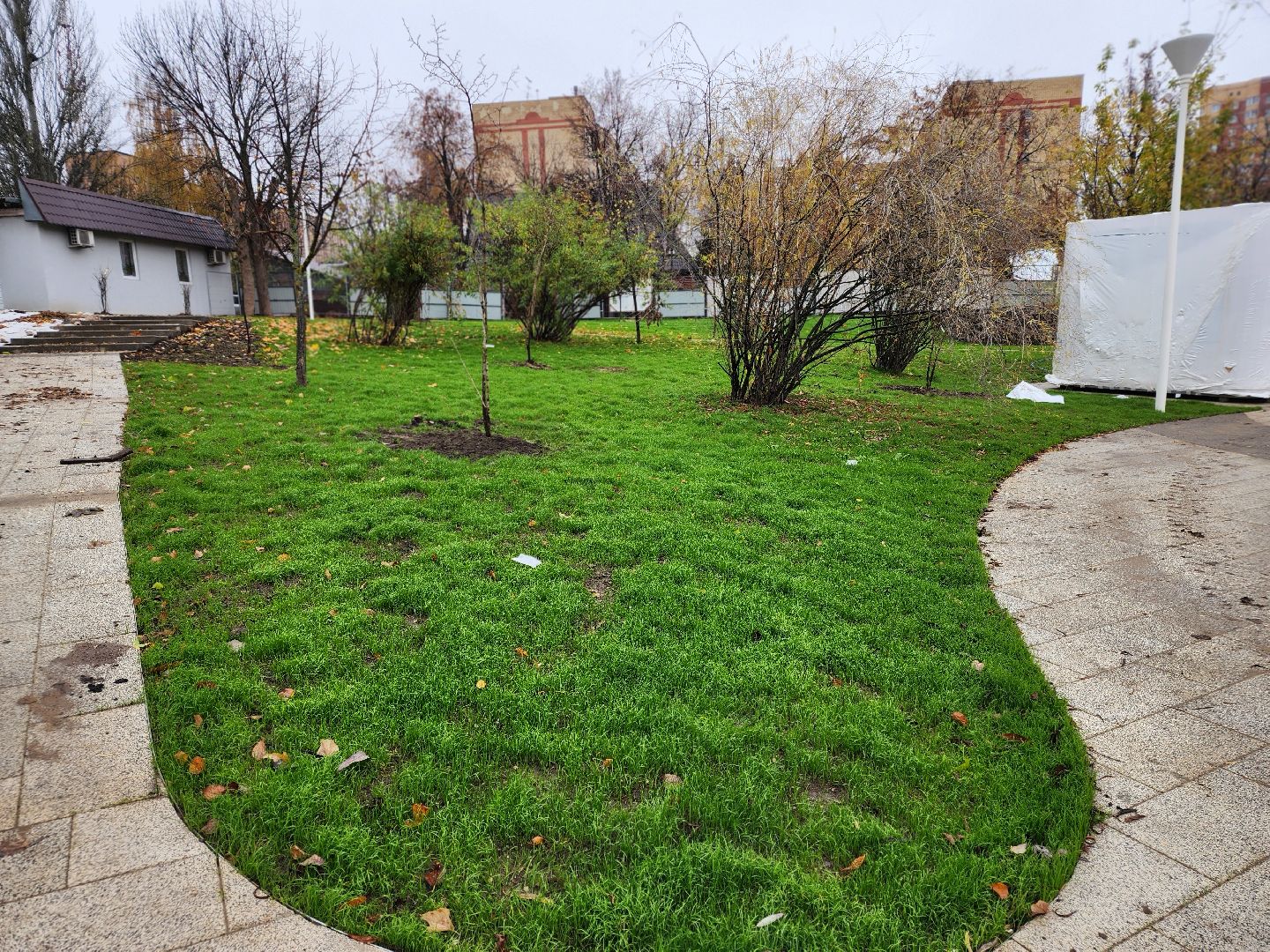 пушкино, травинское озеро, травинская набережная, пушкинский городской округ, комфортная среда, команда губернатора, парк,место , место отдыха,