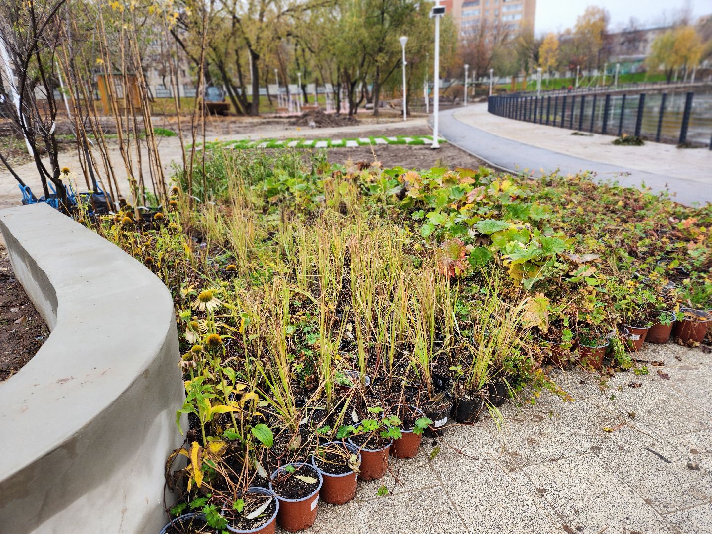 пушкино, травинское озеро, травинская набережная, пушкинский городской округ, комфортная среда, команда губернатора, парк,место , место отдыха,