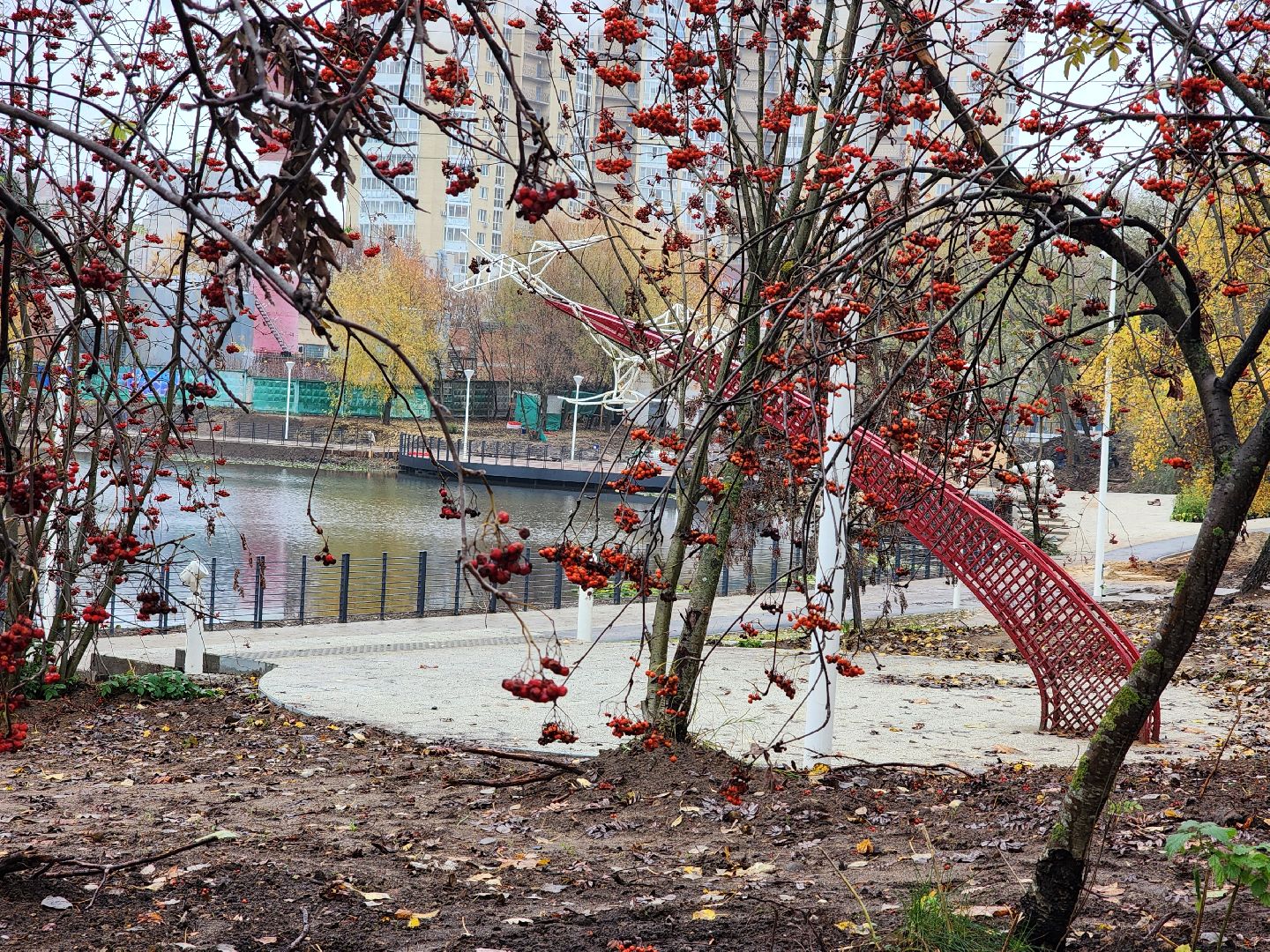 пушкино, травинское озеро, травинская набережная, пушкинский городской округ, комфортная среда, команда губернатора, парк,место , место отдыха,