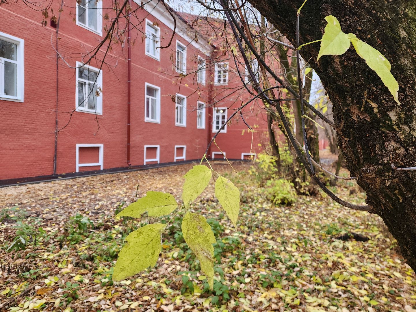 красноармейск, городской округ пушкинский, реставрация зданий, исторический облик города,