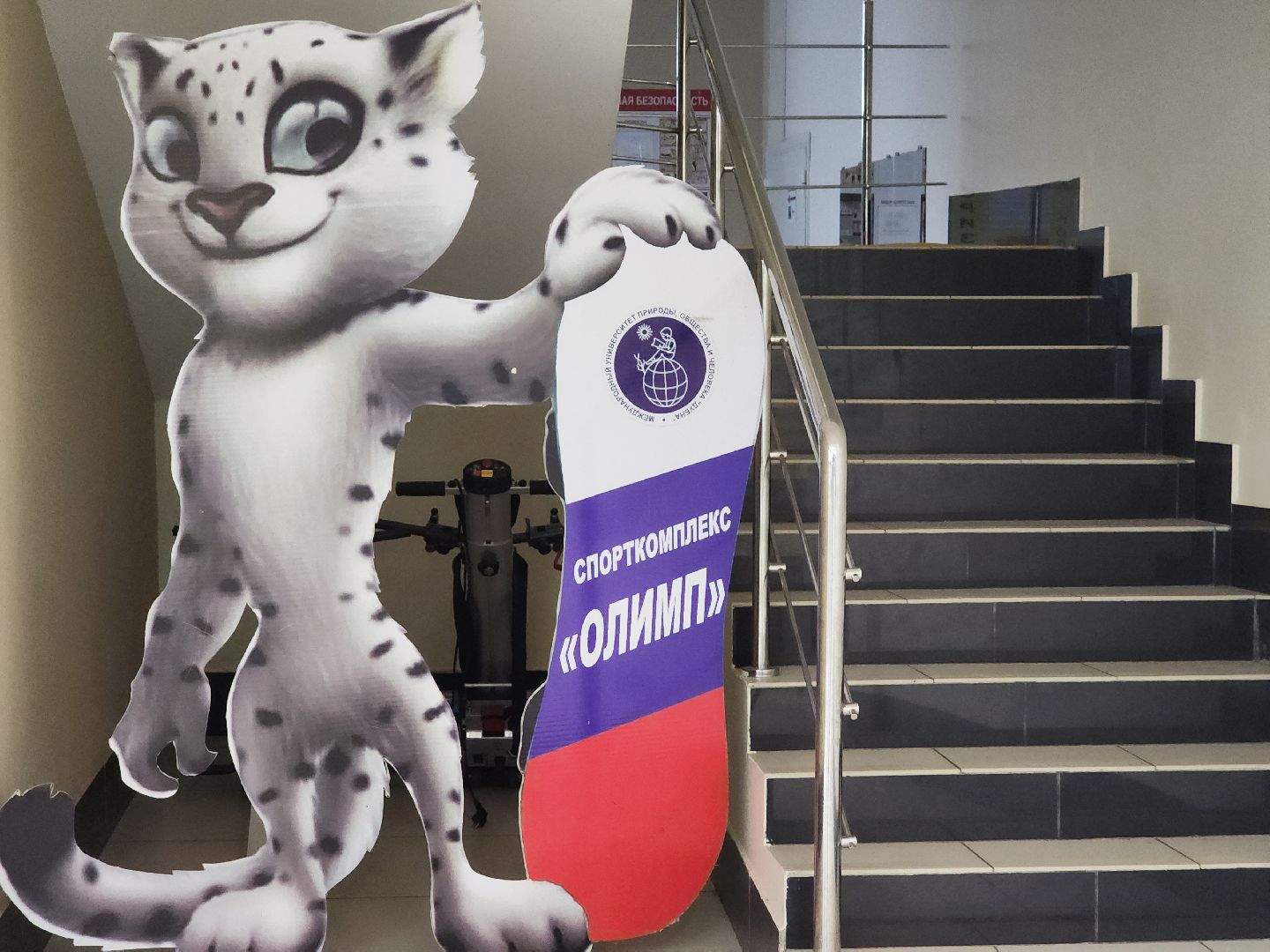 дубна, университет дубна, спорт,