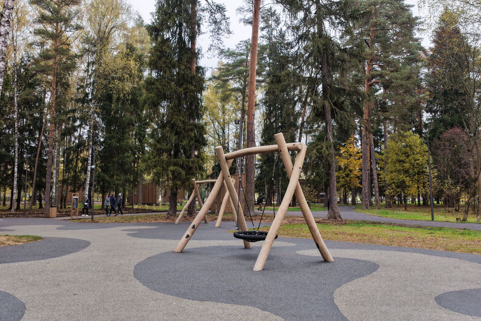 видео с коптера, банный лес,  благоустройство 2025,