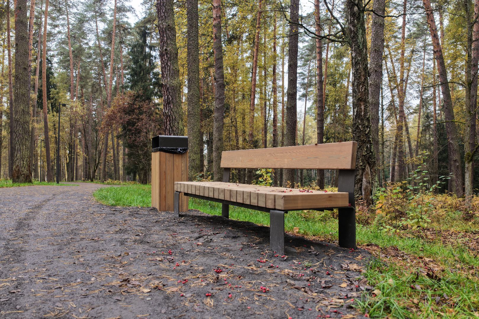 видео с коптера, банный лес,  благоустройство 2025,